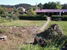 Arbeitseinsatz Einfahrt Vereinsheim  06.08.2008