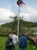 01.05.2010 KGV Maibaum aufstellen