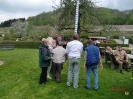 01.05.2010 KGV Maibaum aufstellen