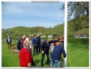 01.05.2015 KGV-Aue Maibaum aufstellen