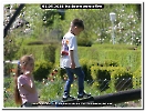 Bild 050