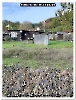 Bild 004