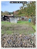 Bild 005