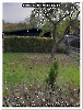 Bild 004