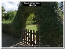 Bild 001