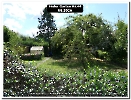 Bild 003