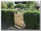 Bild 001
