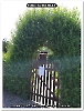 Bild 001